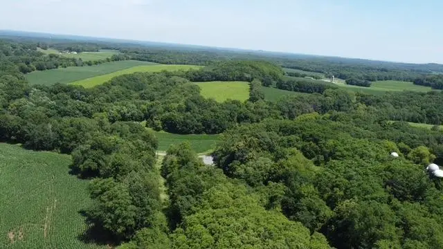 135.45 acres Costigan Road, Lyndon Station, WI 53944 - #3