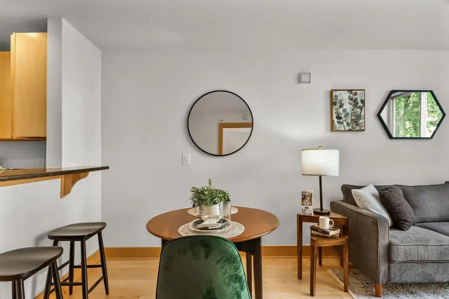 333 W Mifflin Street #2090, Madison, WI 53703 - #3