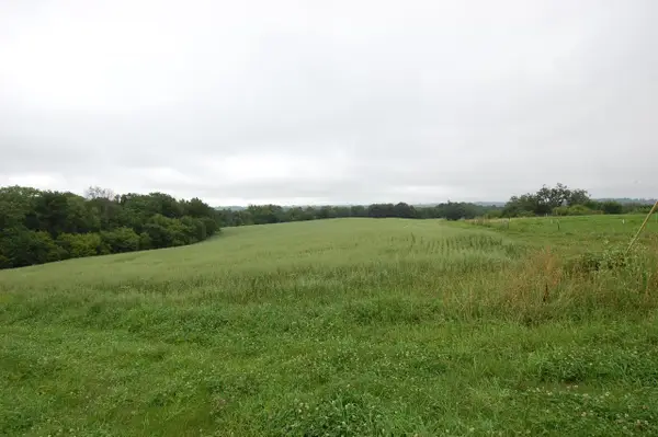 999 Halverson Ridge Road, Soldiers Grove, WI 54655