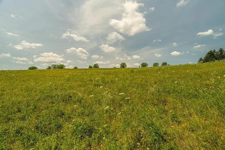 5 Ac Cadiz Springs Road, Monroe, WI 53566 - #3