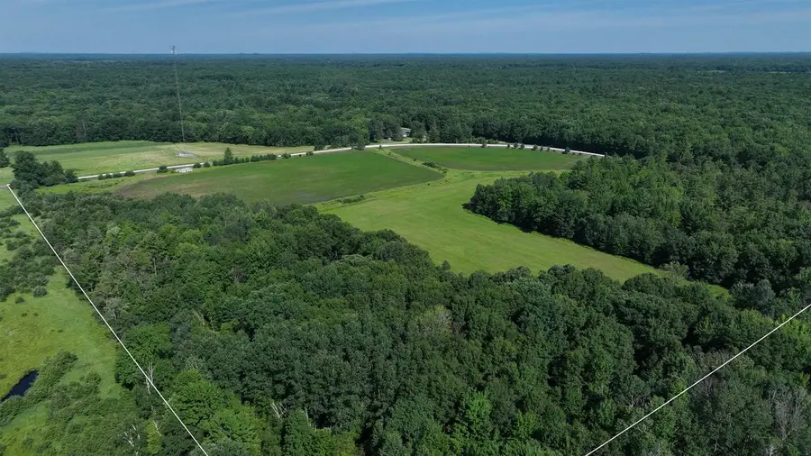 38.85 Ac County Road E, Pittsville, WI 54466 - #3