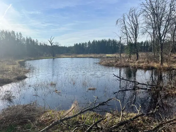 1193 Beaver Avenue, Nekoosa, WI 54457