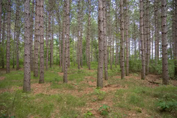 Lot 10 County Road G, Necedah, WI 54646