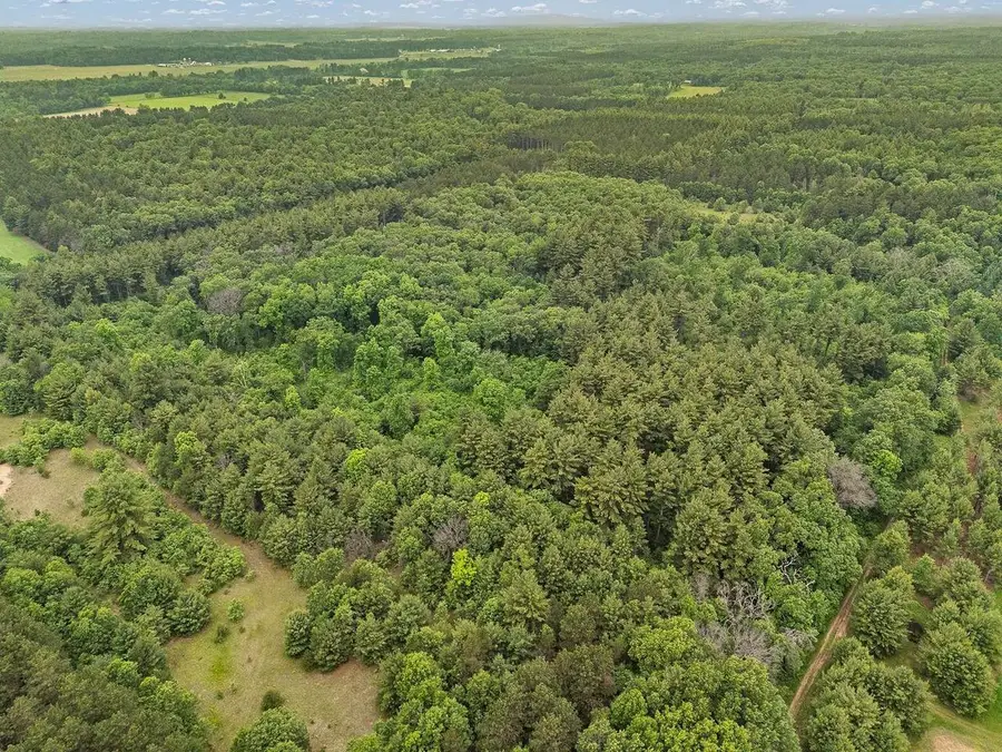 122+/-acres Happersett Lane, Redgranite, WI 54970 - #2