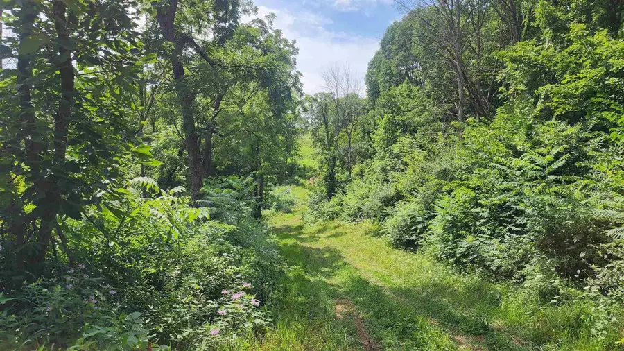 41180 Sleepy Valley Lane, Boscobel, WI 53805 - #3