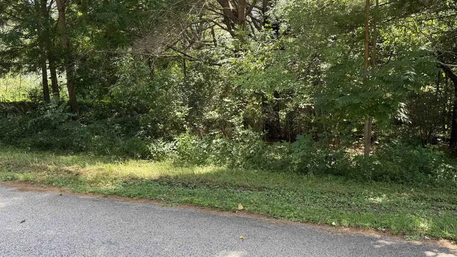 .27 Acre Lot Gem Court, Wisconsin Dells, WI 53965 - #2