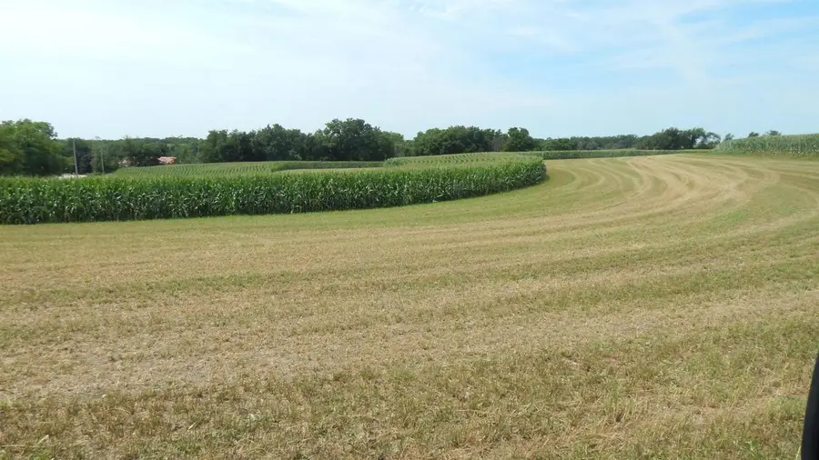8.01 Acres Alfred Drive, Ridgeway, WI 53582 - #2