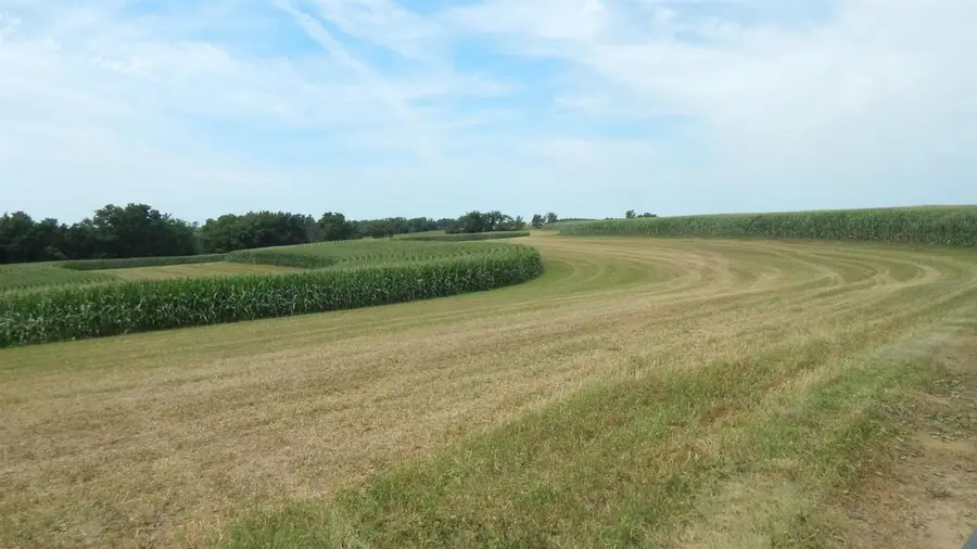 8.01 Acres Alfred Drive, Ridgeway, WI 53582 - #3