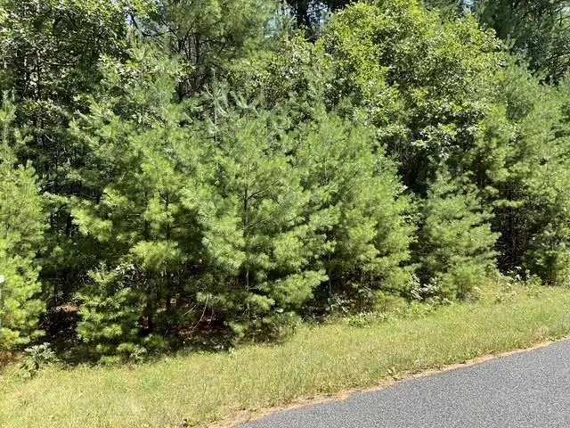 Parcel 18th Avenue, Arkdale, WI 54613 - #1