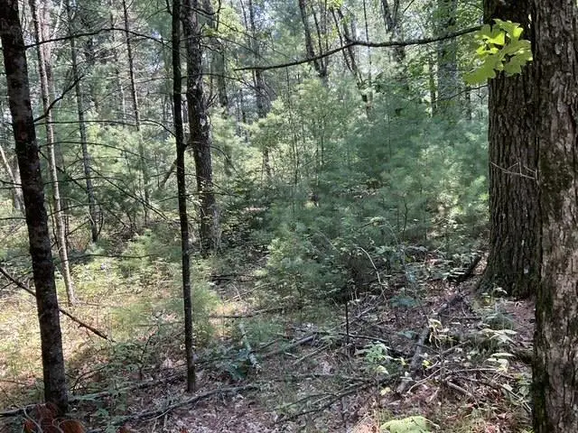 Parcel 18th Avenue, Arkdale, WI 54613 - #3