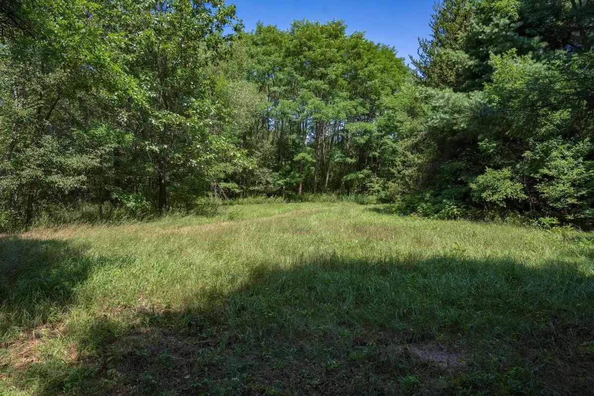 9.732 acres E Flint Street, Lyndon Station, WI 53944 - #1