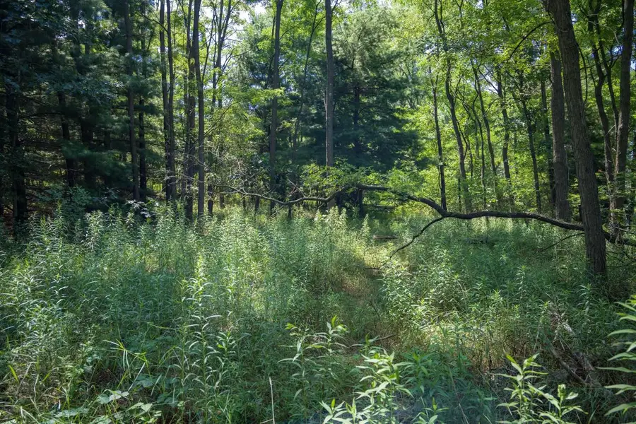 9.732 acres E Flint Street, Lyndon Station, WI 53944 - #2