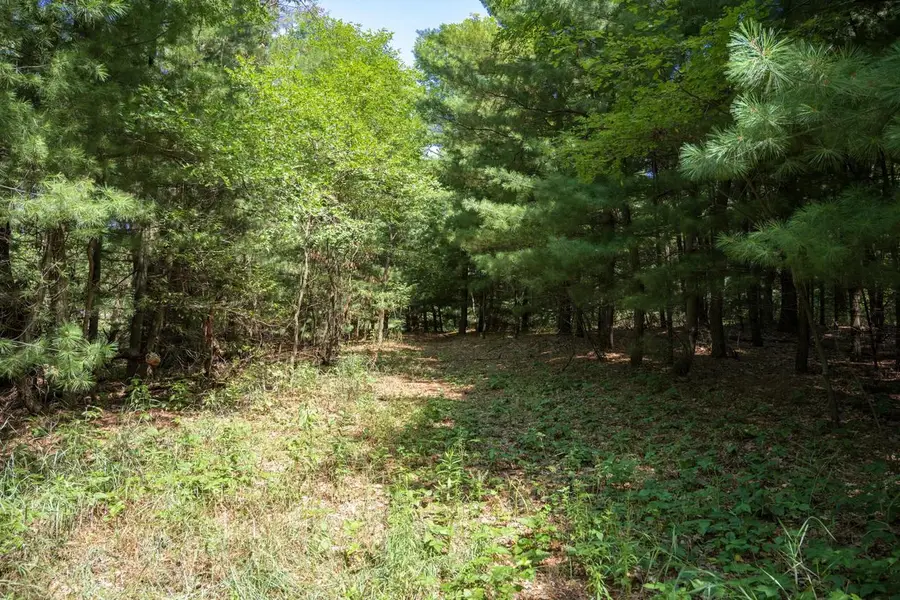 9.732 acres E Flint Street, Lyndon Station, WI 53944 - #3