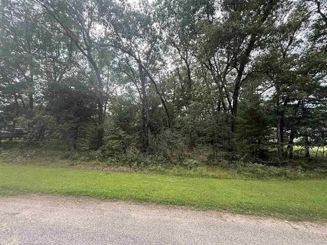 LT 1 13th Avenue, Friendship, WI 53934 - #3