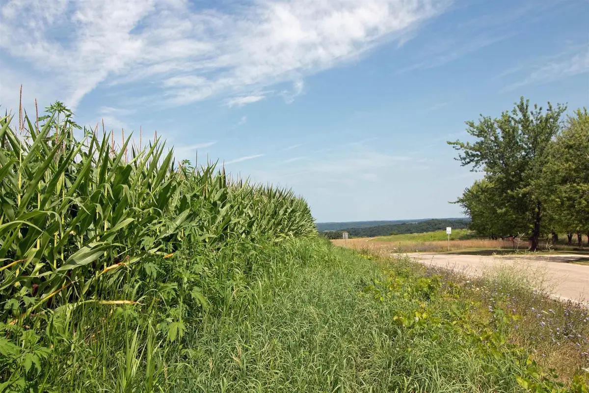 13.2 Acres County Hwy H, Ridgeway, WI 53582 - #1