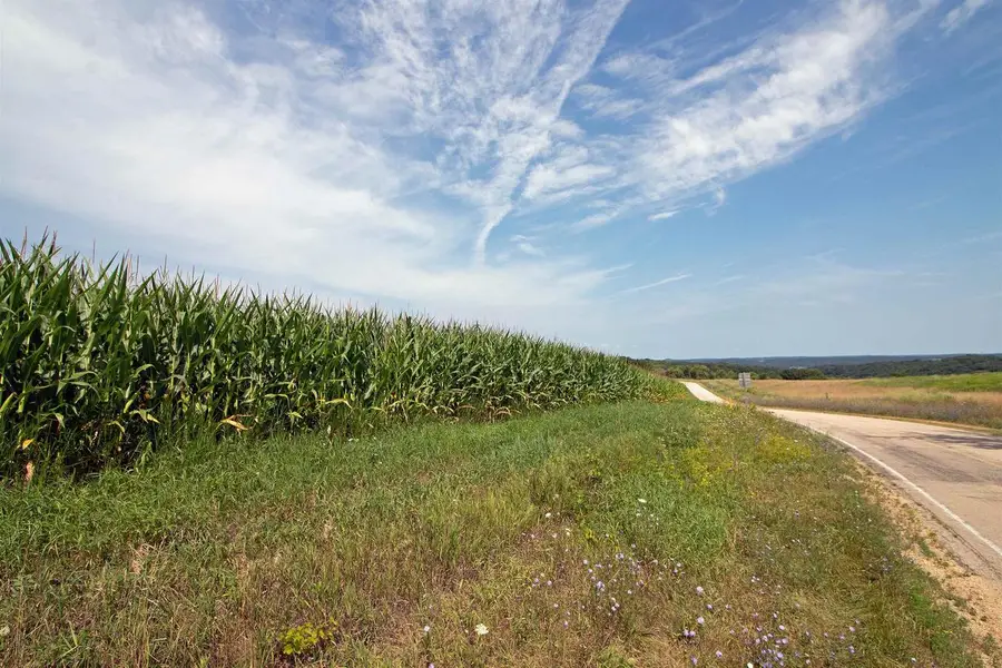 13.2 Acres County Hwy H, Ridgeway, WI 53582 - #2