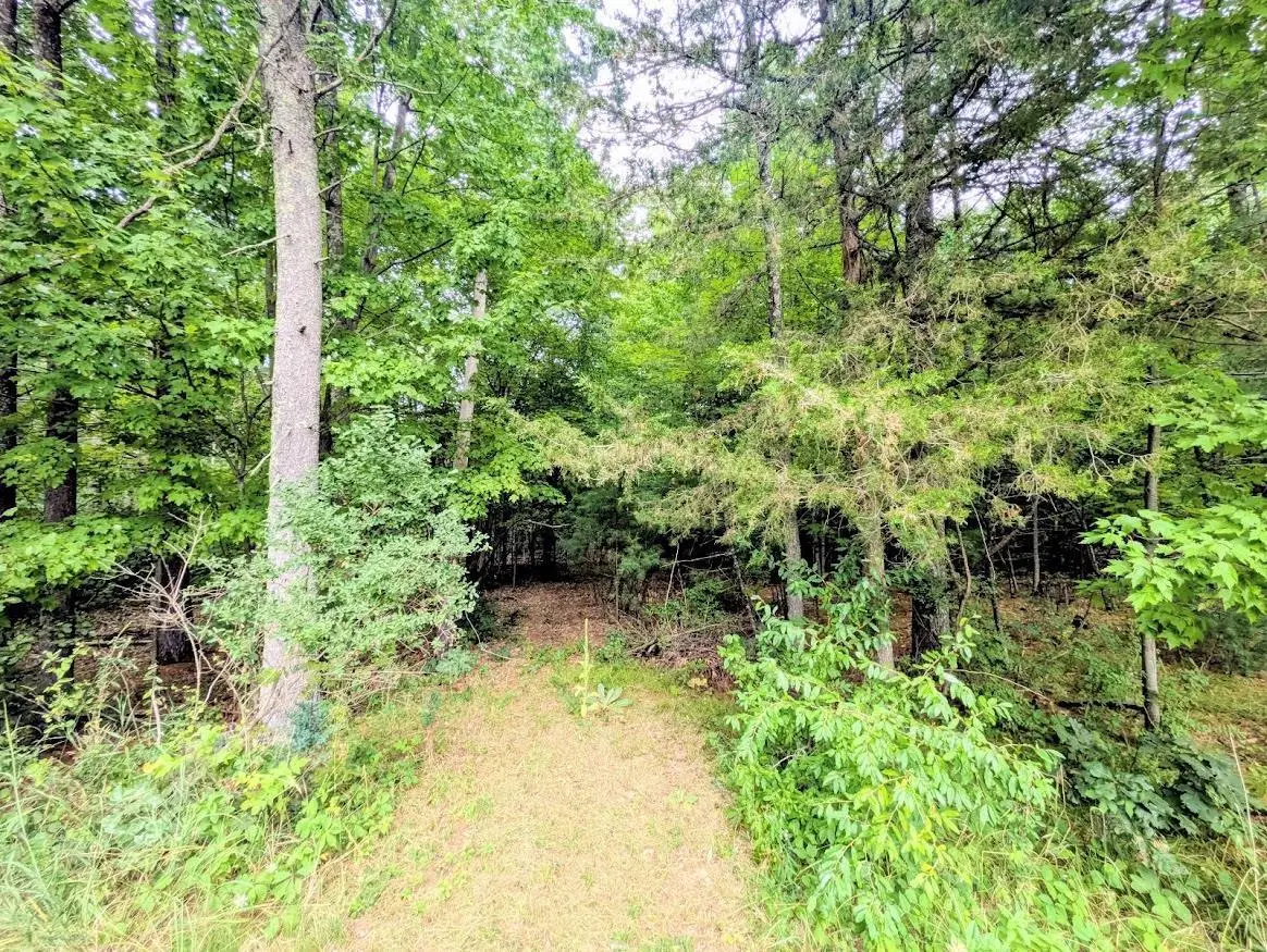 0 County Road C, Arkdale, WI 54613 - #1