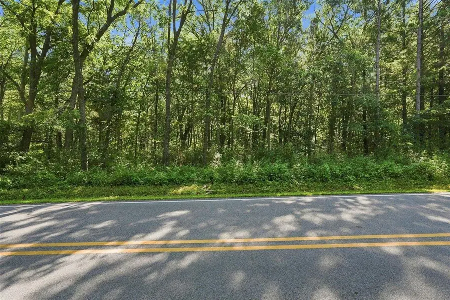 Lot 4 CSM 17038 Timber Lane, Verona, WI 53593 - #3