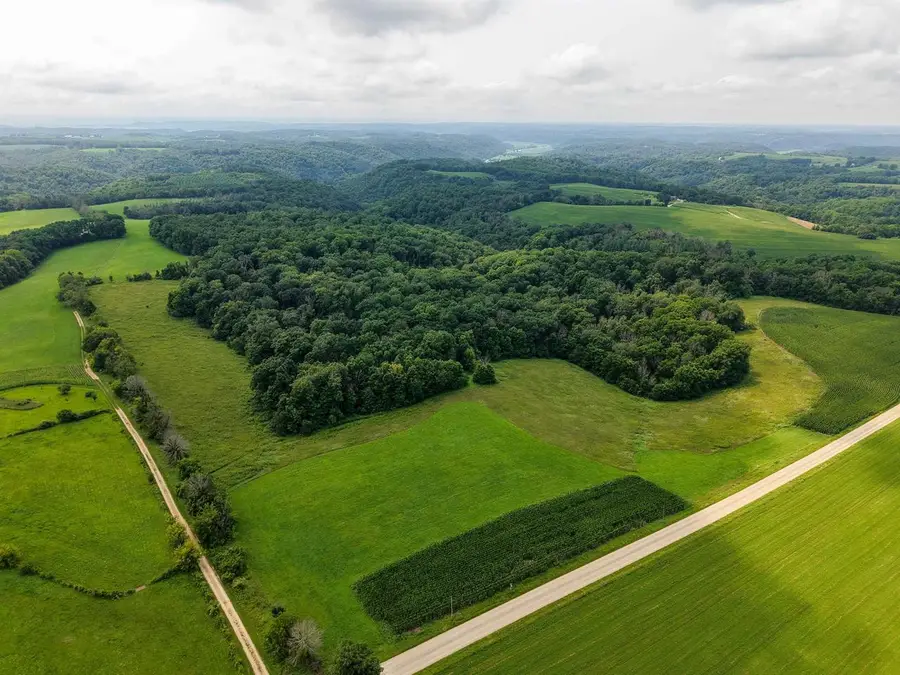 54.5+/-AC Dayton Ridge Road, Richland Center, WI 53581 - #2