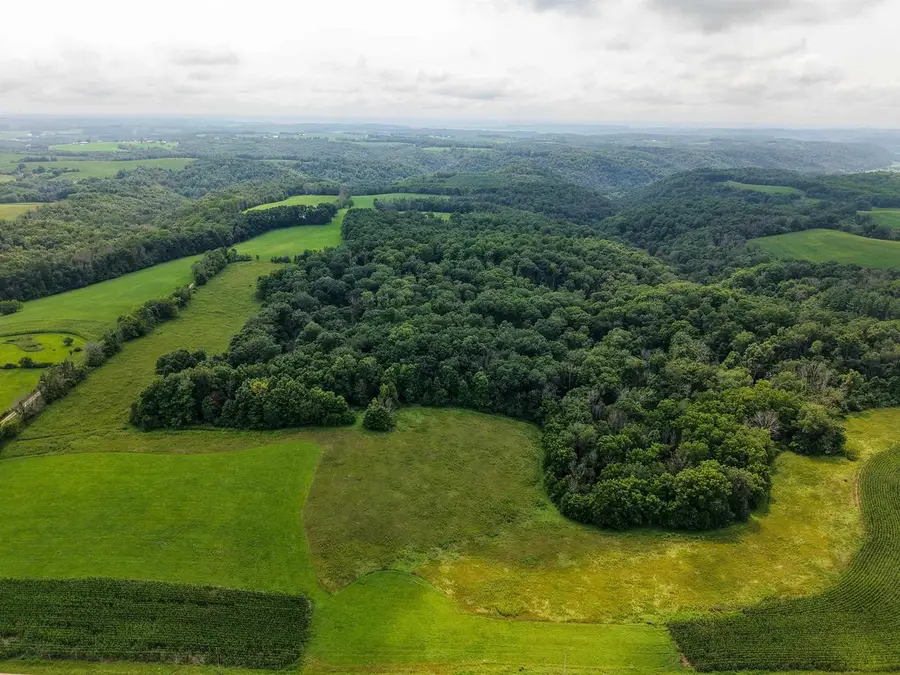54.5+/-AC Dayton Ridge Road, Richland Center, WI 53581 - #3