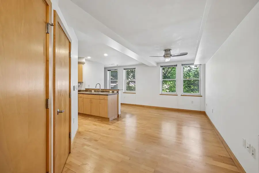 111 N Hamilton Street #203, Madison, WI 53703 - #2
