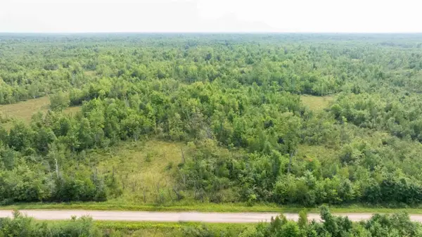 40 AC 9th AVE Acres, Necedah, WI 54646