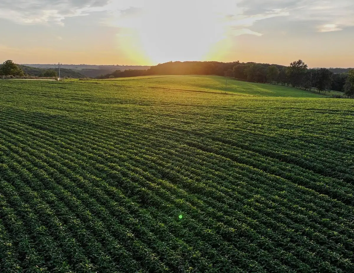 40.22 Acres Stump Ridge Road, Viroqua, WI 54665 - #1