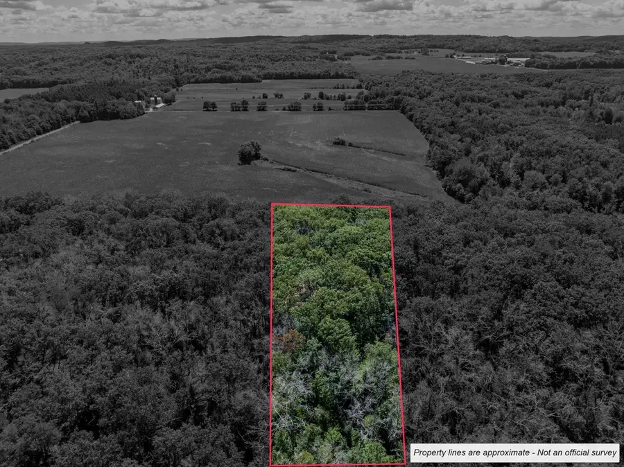 W2576 Colleen Drive, Lyndon Station, WI 53944 - #3