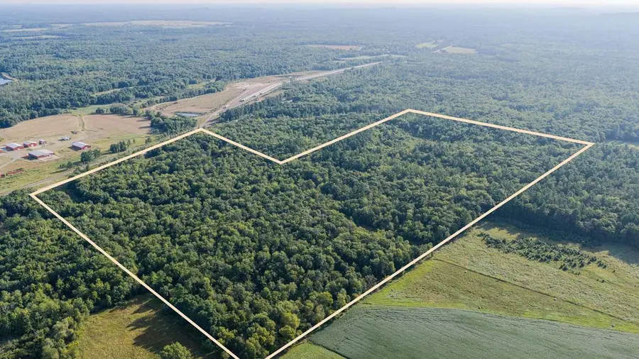 98+/- Acres Hwy 95, Alma Center, WI 54611 - #2