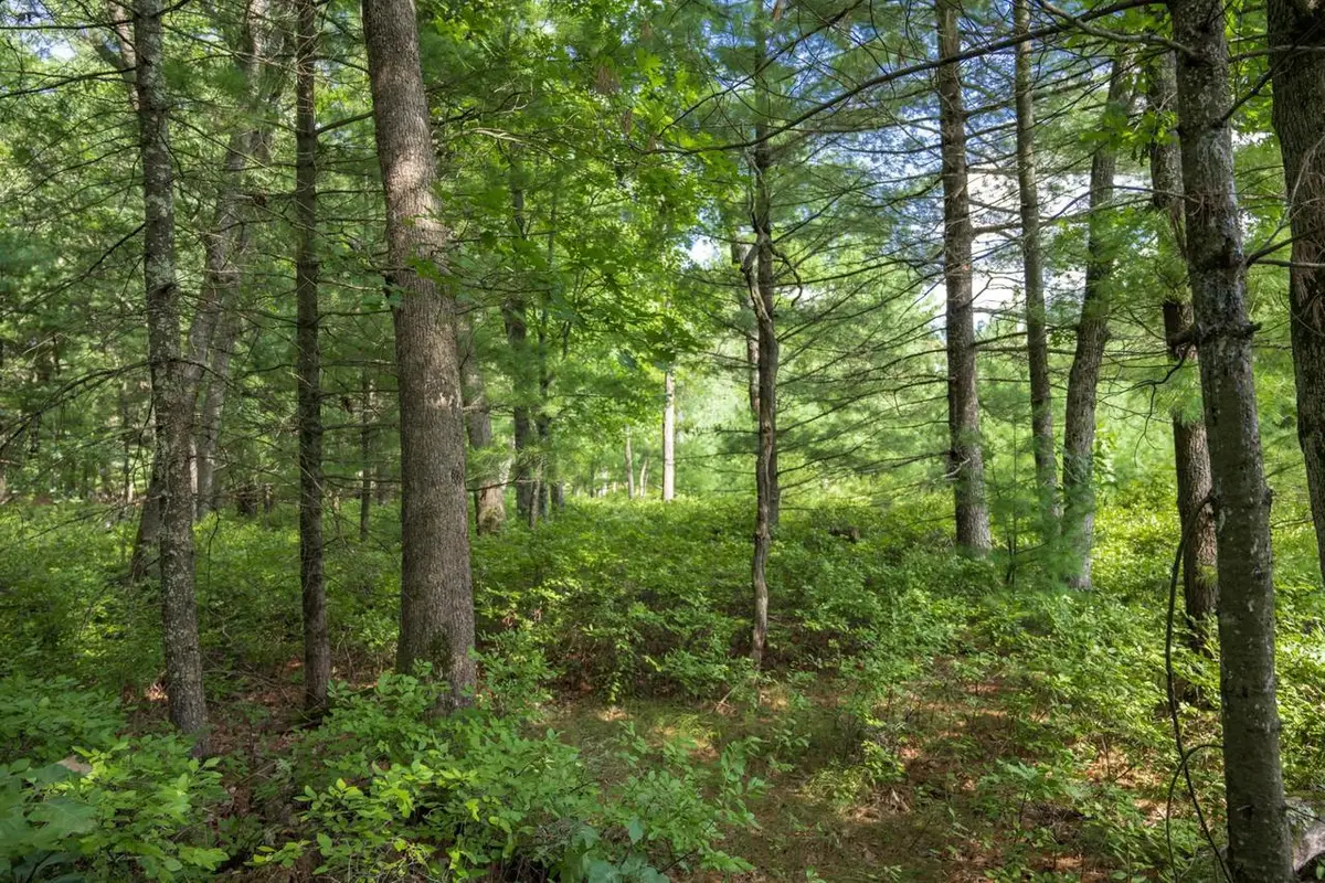 3 acres 41st Street, Mauston, WI 53948 - #1