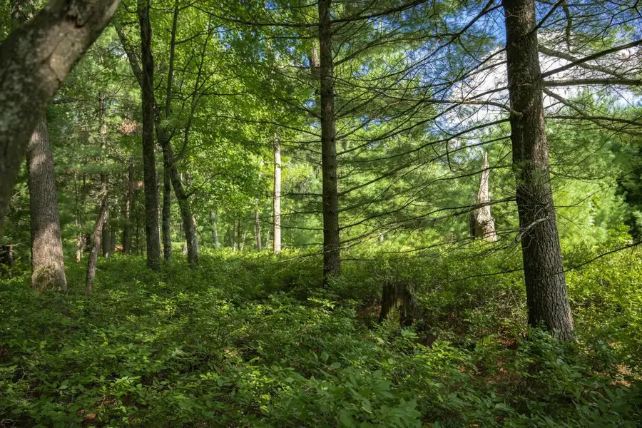 3 acres 41st Street, Mauston, WI 53948 - #2