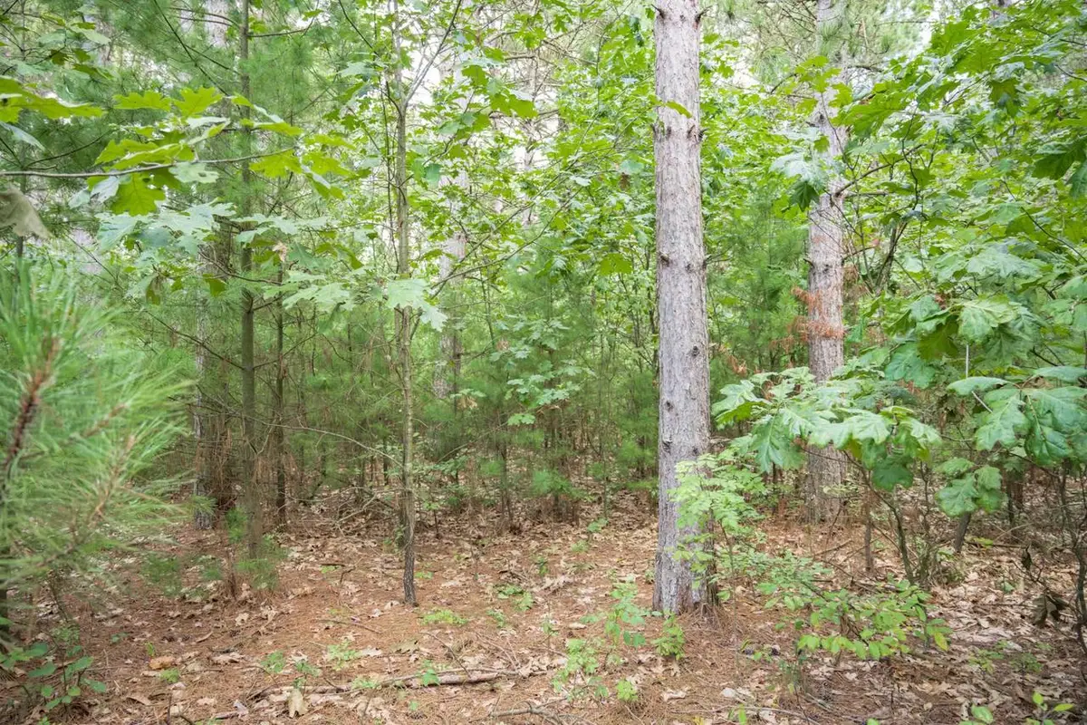 W4076 Mays Point Road, Necedah, WI 54646 - #1