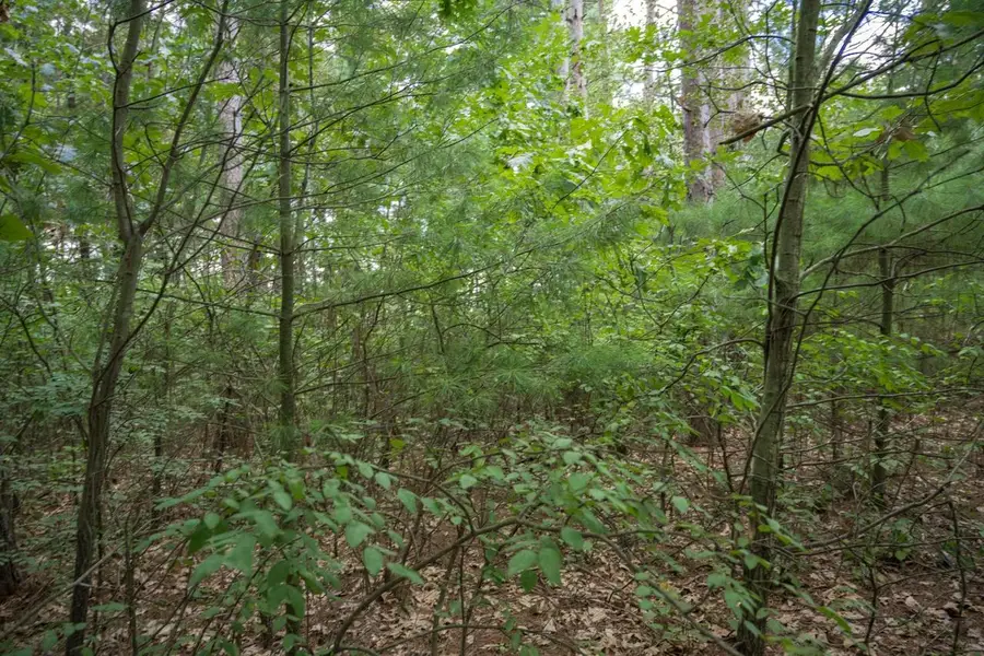W4076 Mays Point Road, Necedah, WI 54646 - #3