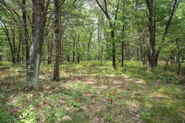 16.36 acres 7th Avenue, New Lisbon, WI 53950