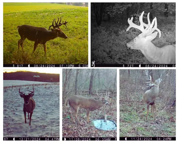 000 County Road K, Blue Mounds, WI 53517