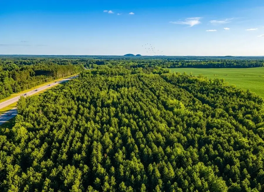 Lot 4 11th Drive, Friendship, WI 53934 - #2