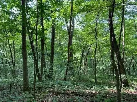 12 Wooded Acres Observatory Road, Cross Plains, WI 53528 - #2