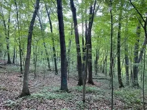 12 Wooded Acres Observatory Road, Cross Plains, WI 53528 - #3