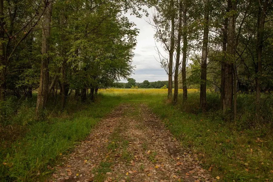 W7264 County Rd E, Westfield, WI 53964 - #2