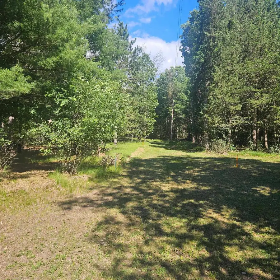 Lot 1 Woodland Avenue, Montello, WI 53949 - #3