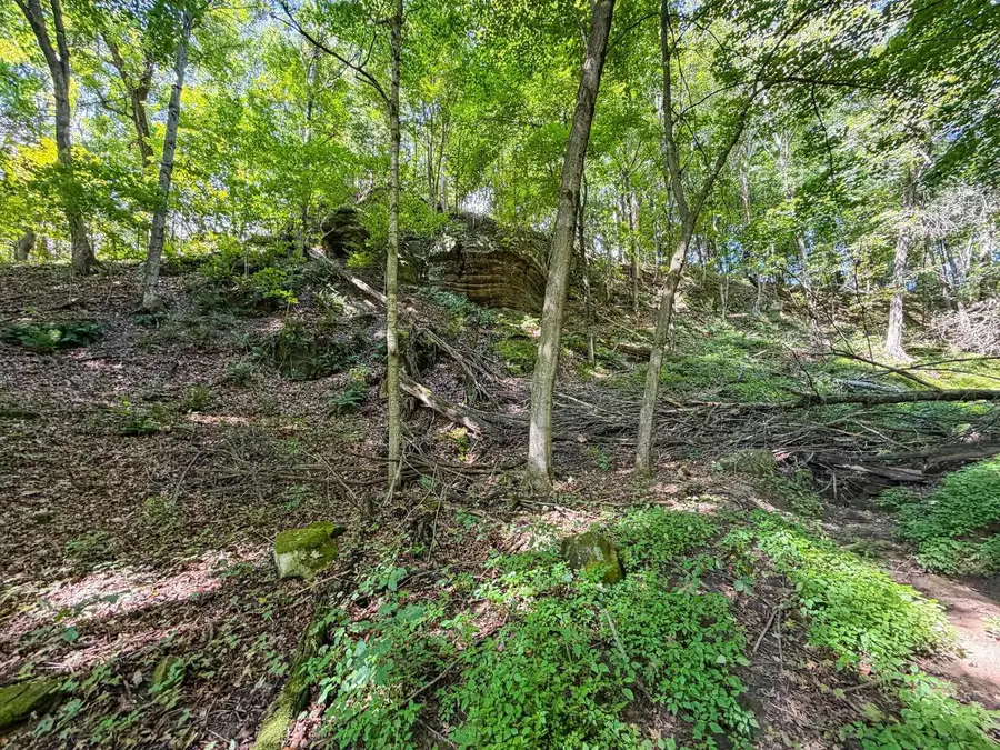 000 Cty Rd FF, Wonewoc, WI 53968 - #2
