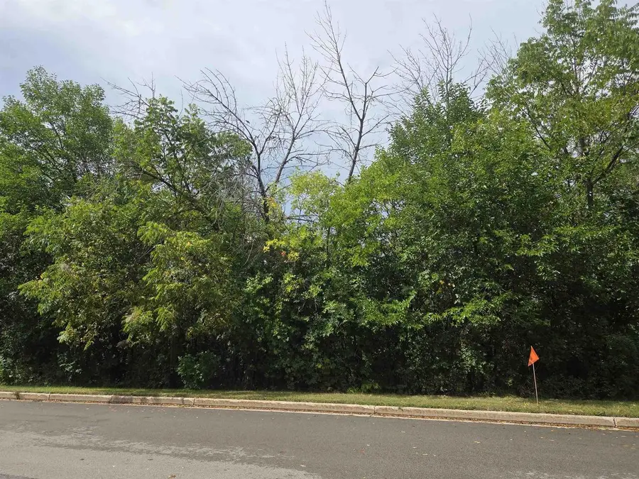 Lot 49 N High Street, Mayville, WI 53050 - #2