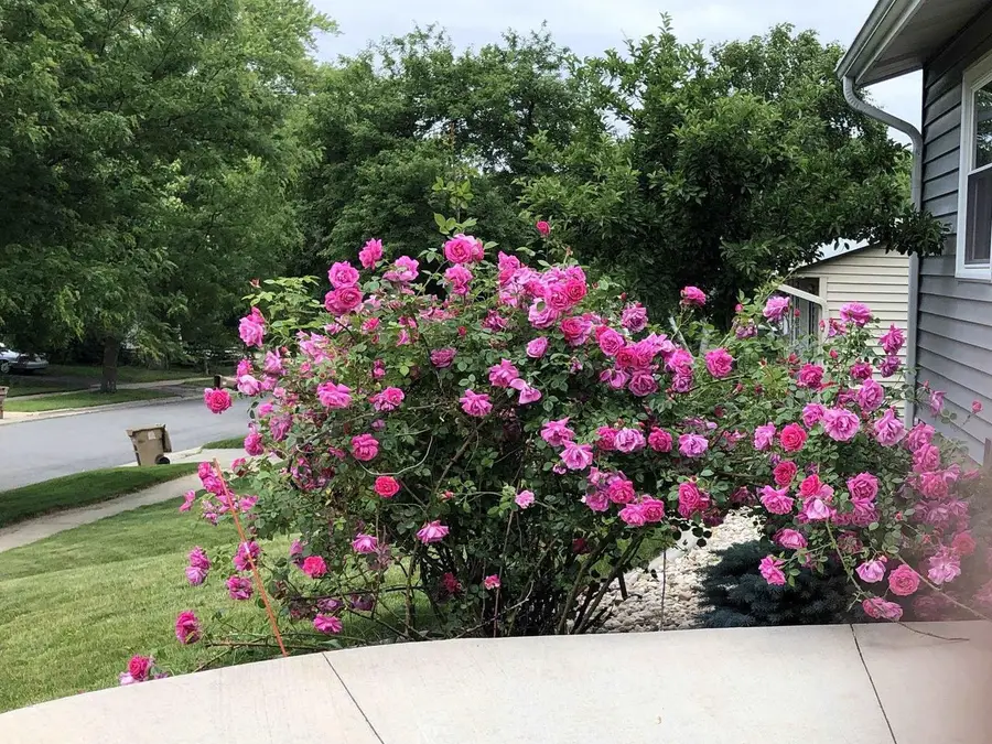 2513 Sara Road, Madison, WI 53711 - #3