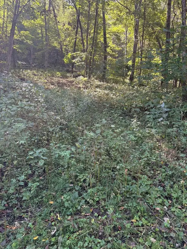 0 Opals Lane, Gays Mills, WI 54631