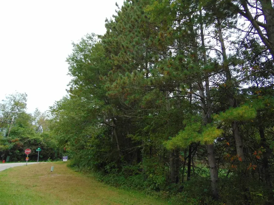 Lot 1 Baraboo Street, Merrimac, WI 53561 - #2