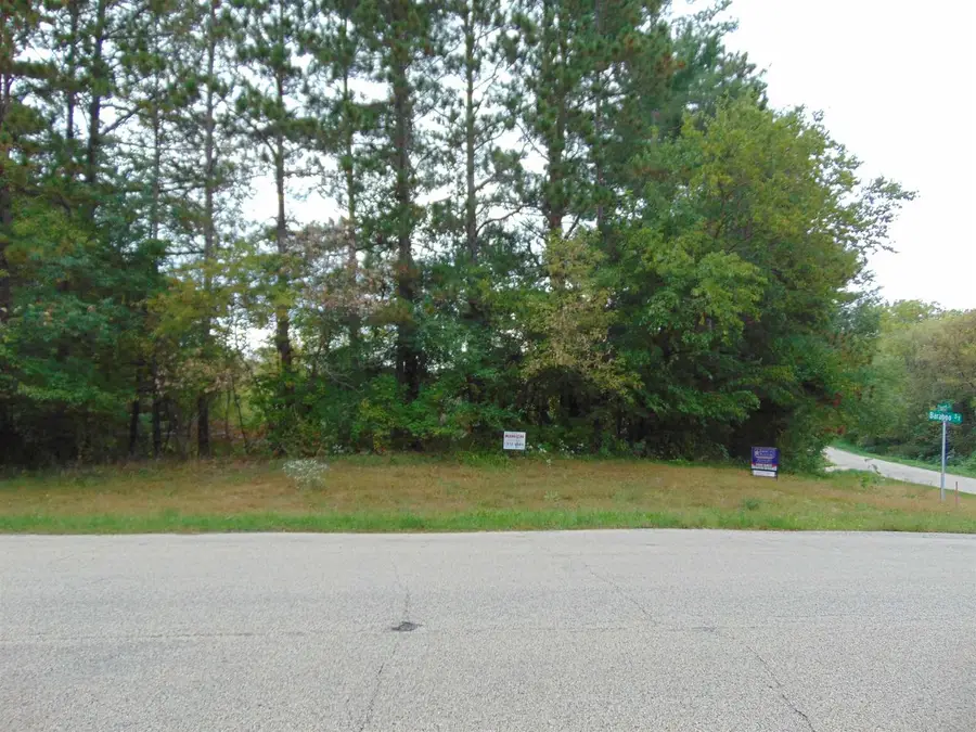Lot 1 Baraboo Street, Merrimac, WI 53561 - #3