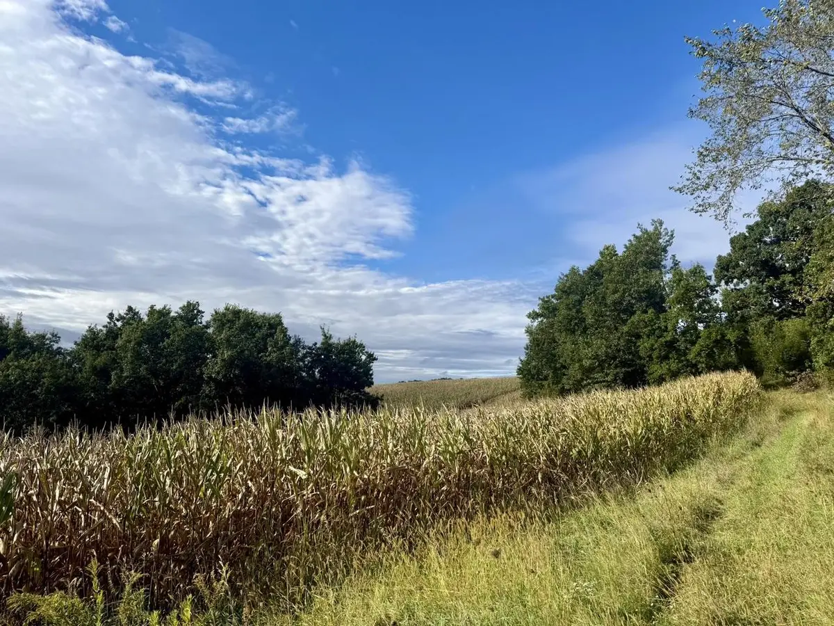 15 Acres Ozone Road, Elroy, WI 53929 - #1