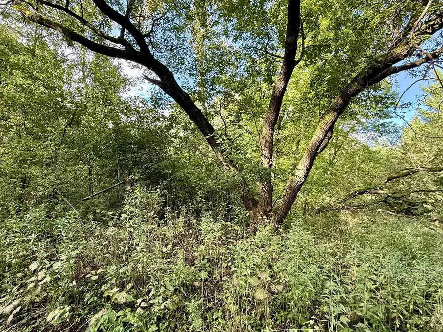 15 Acres Ozone Road, Elroy, WI 53929 - #3