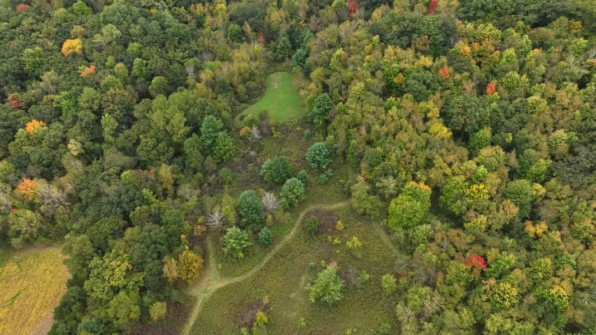 000 Pierce Road, Hixton, WI 54635 - #1