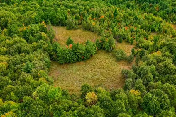 84+/- AC Horse Creek Rd Acres, Augusta, WI 54729